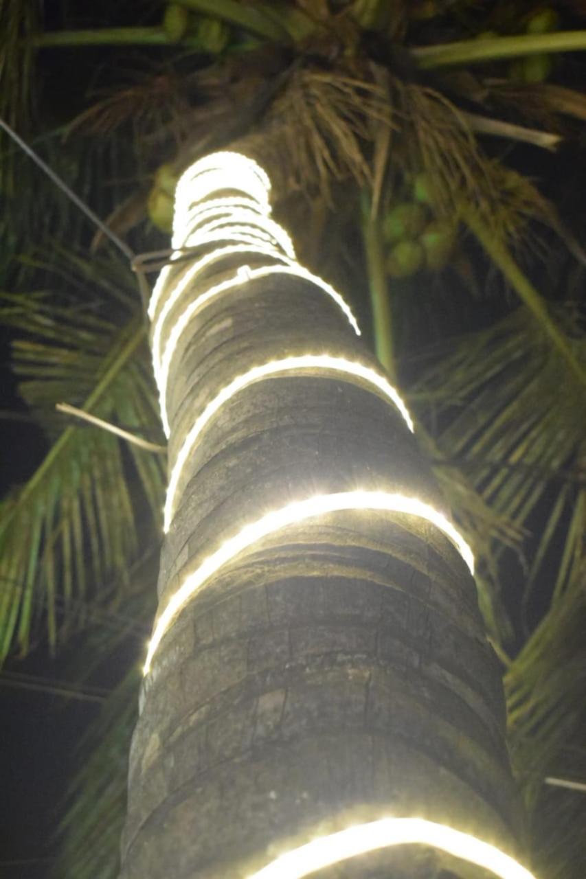 The Alexis'S Guest House Negombo Exterior foto
