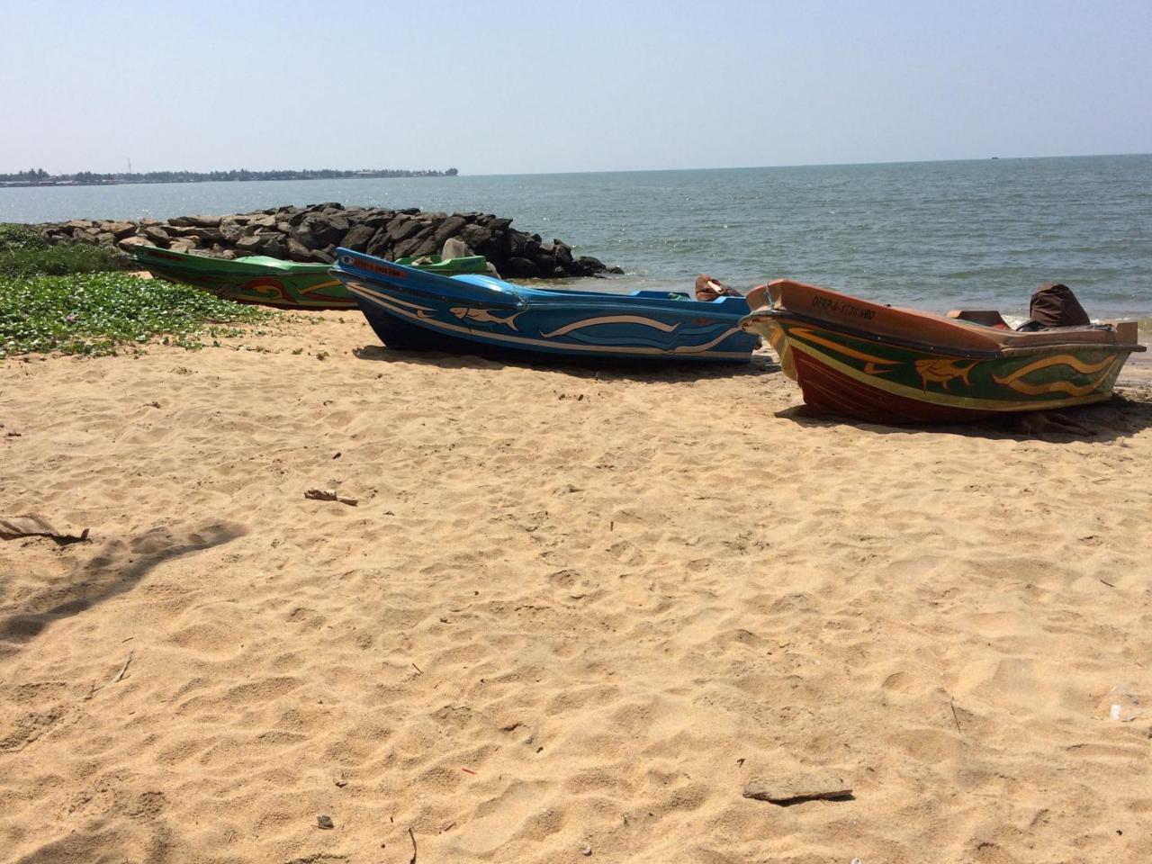 The Alexis'S Guest House Negombo Exterior foto